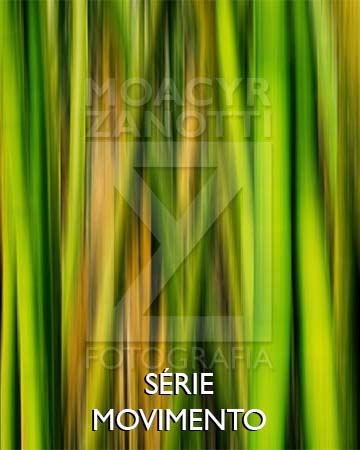 Série Movimento (ICM)